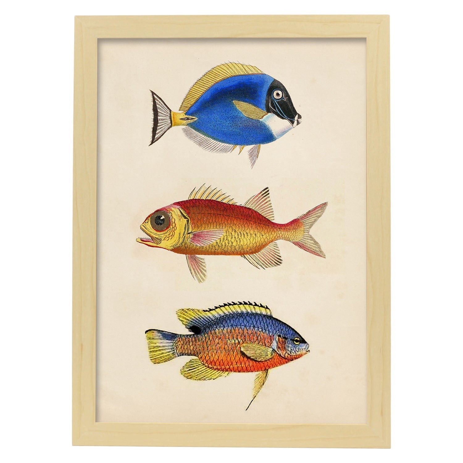 Lámina de tres peces naranjas, azules y amarillos en , fondo papel vintage.-Artwork-Nacnic-A4-Marco Madera clara-Nacnic Estudio SL