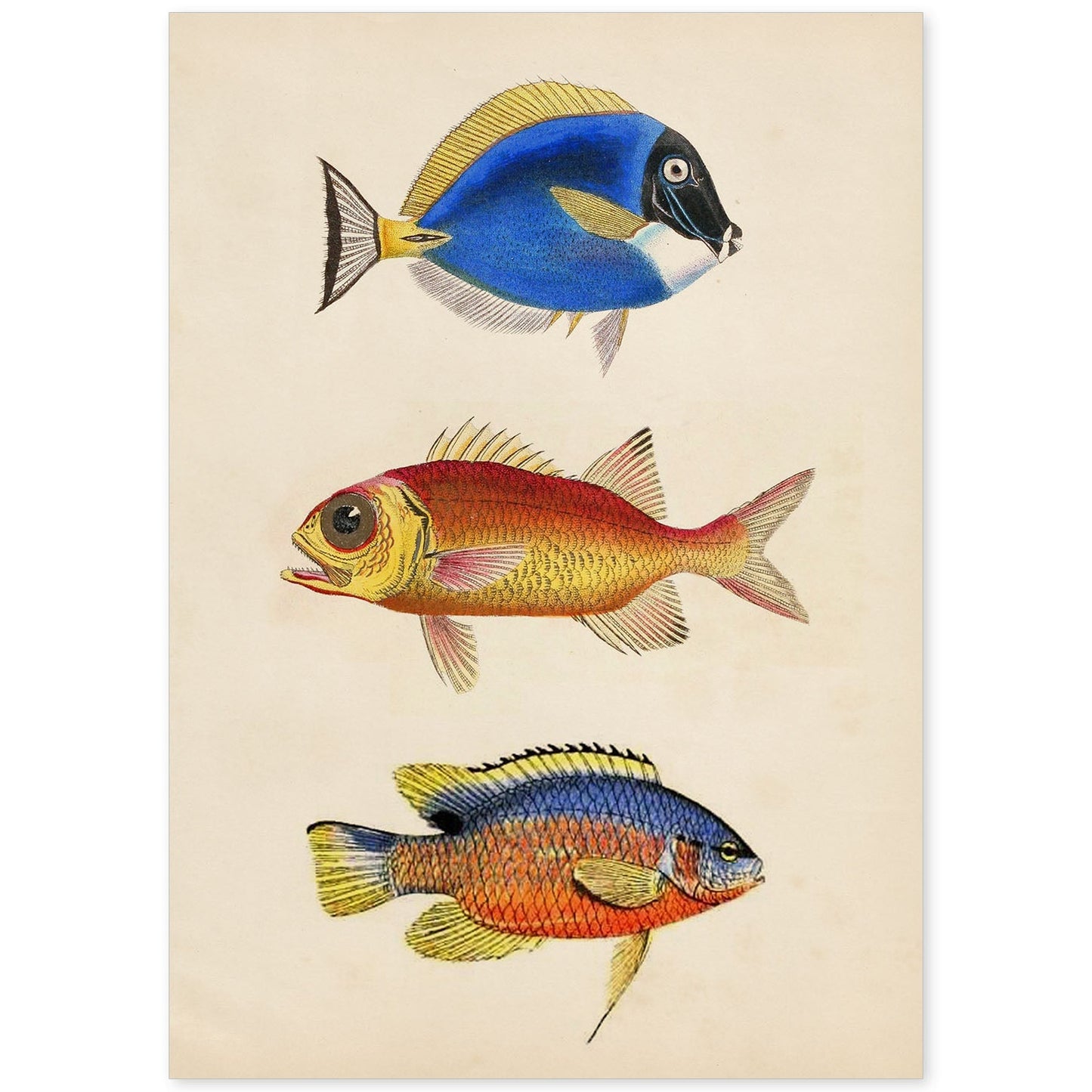 Lámina de tres peces naranjas, azules y amarillos en , fondo papel vintage.-Artwork-Nacnic-A4-Sin marco-Nacnic Estudio SL