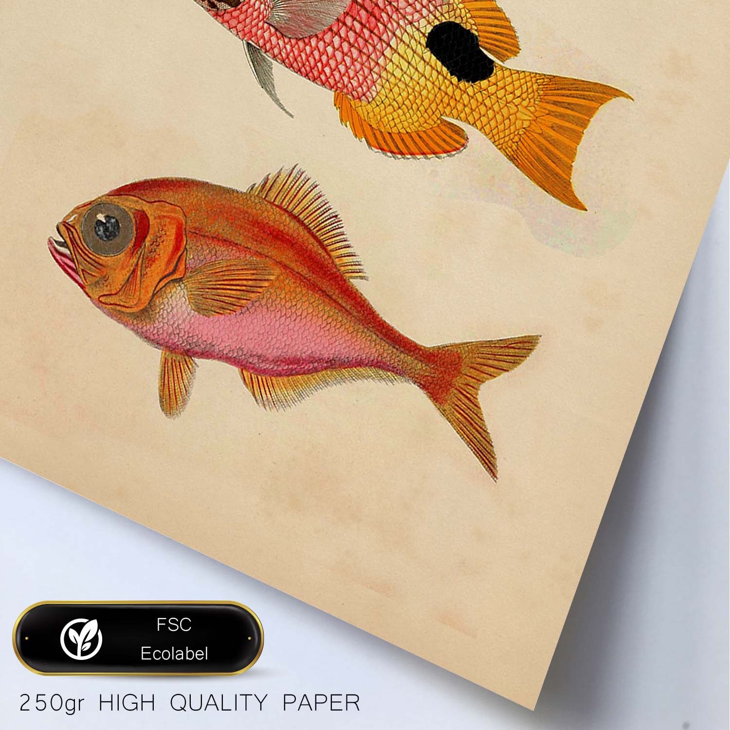 Lámina de tres peces naranjas, rojos y amarillos en , fondo papel vintage.-Artwork-Nacnic-Nacnic Estudio SL