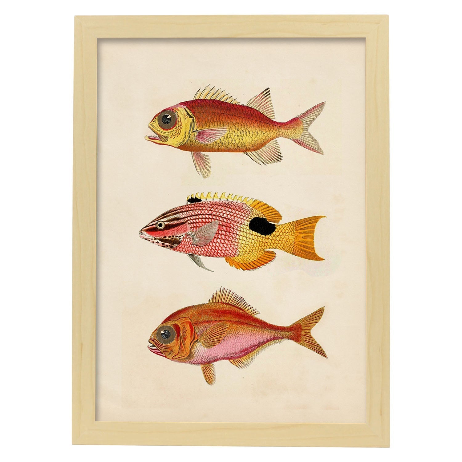 Lámina de tres peces naranjas, rojos y amarillos en , fondo papel vintage.-Artwork-Nacnic-A3-Marco Madera clara-Nacnic Estudio SL