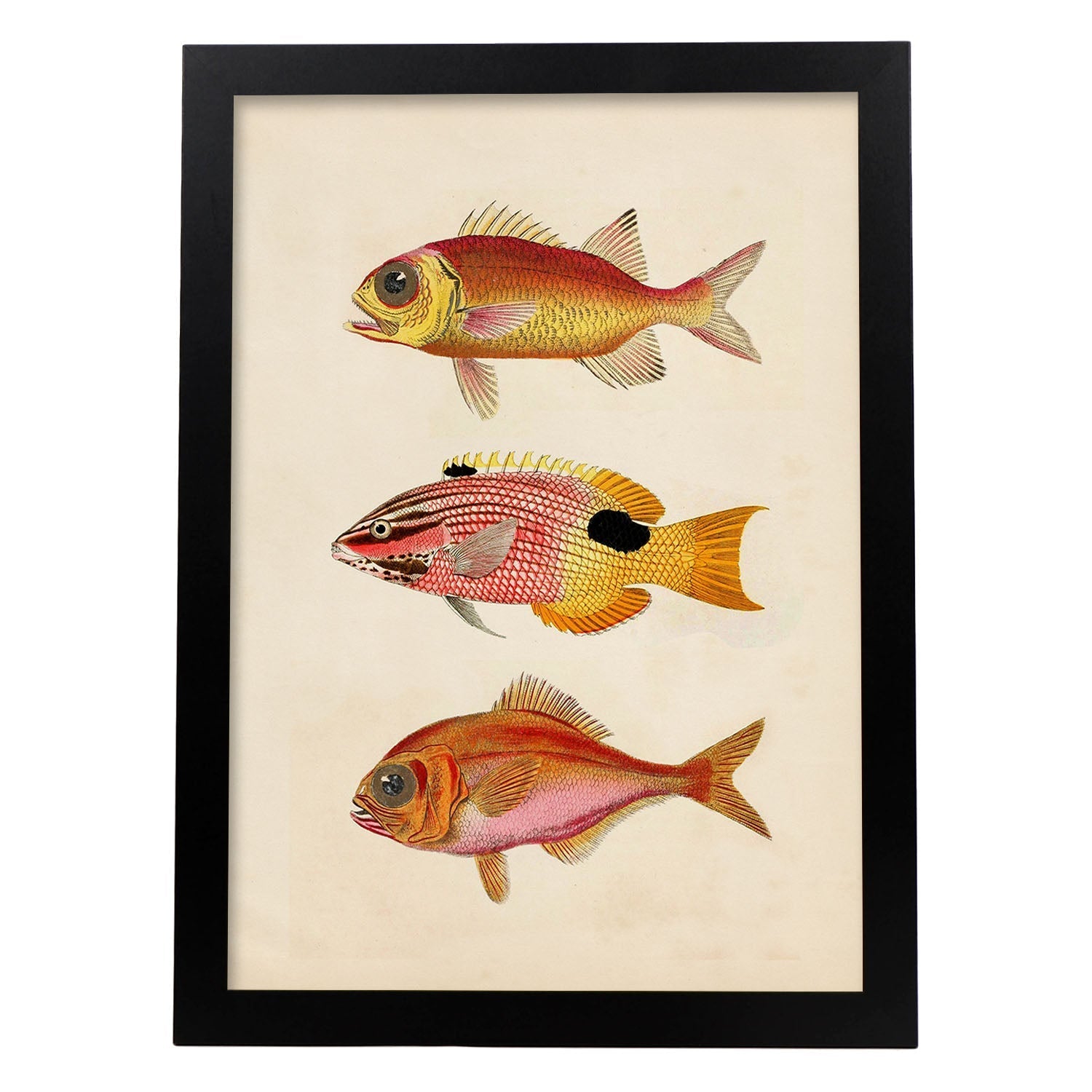 Lámina de tres peces naranjas, rojos y amarillos en , fondo papel vintage.-Artwork-Nacnic-A3-Marco Negro-Nacnic Estudio SL