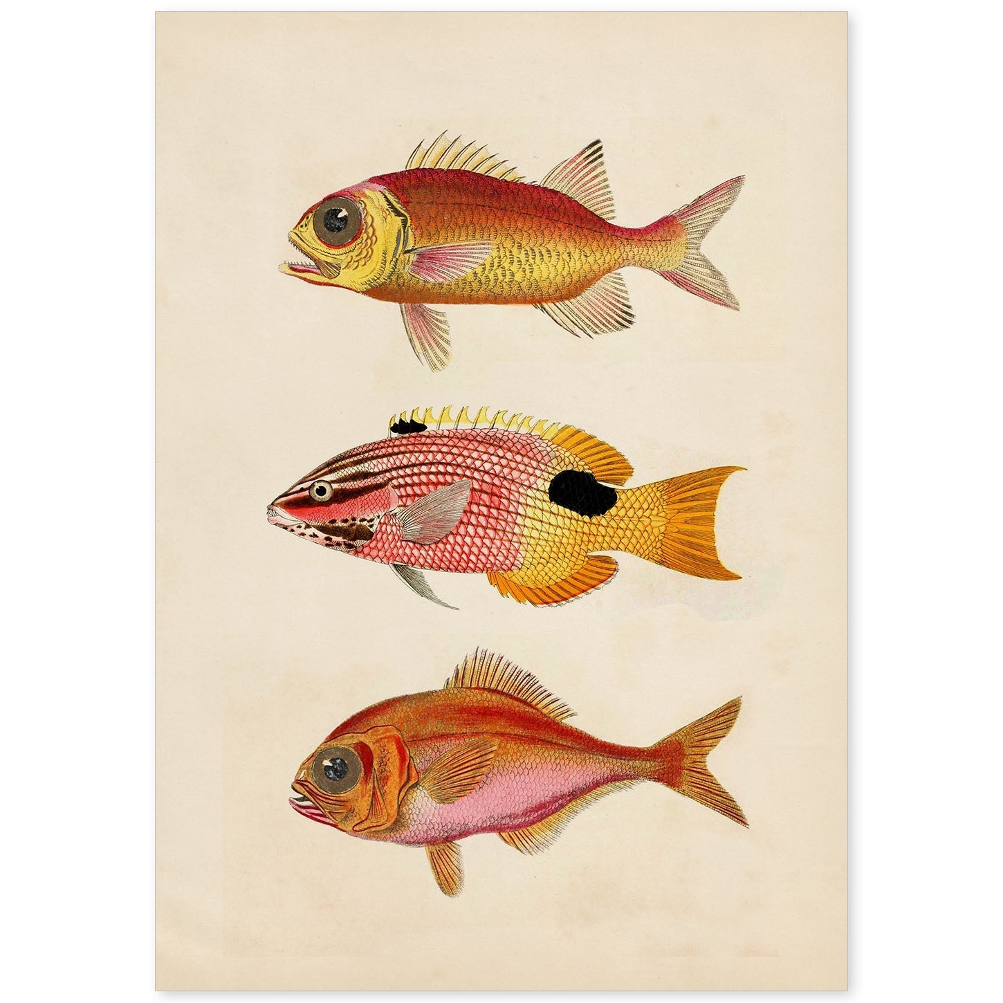Lámina de tres peces naranjas, rojos y amarillos en , fondo papel vintage.-Artwork-Nacnic-A4-Sin marco-Nacnic Estudio SL