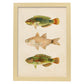 Lámina de tres peces verdes marron en , fondo papel vintage.-Artwork-Nacnic-A3-Marco Madera clara-Nacnic Estudio SL