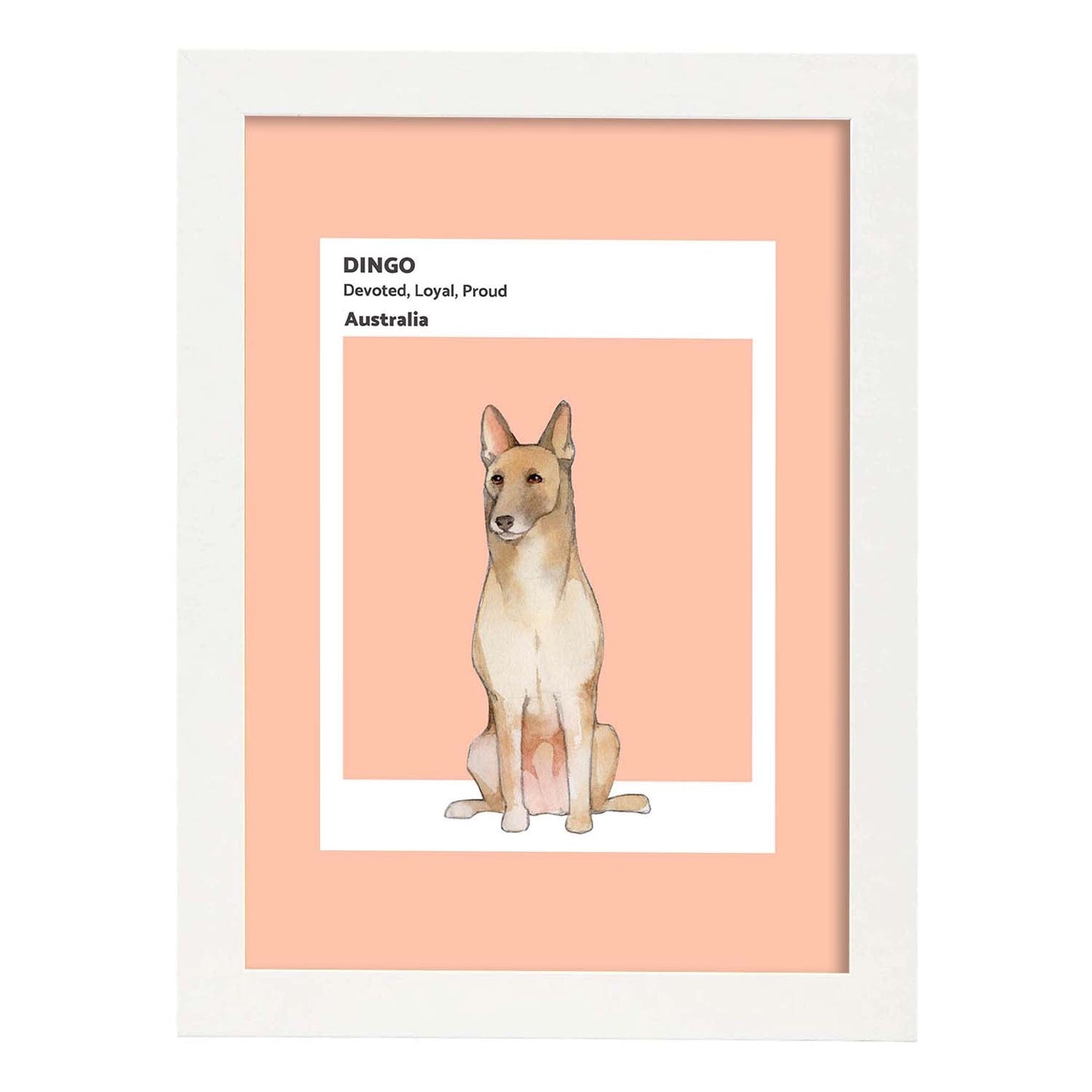 Lámina Dingo. Pósters con ilustraciones de razas de perro en tonos cálidos y pastel.-Artwork-Nacnic-A3-Marco Blanco-Nacnic Estudio SL