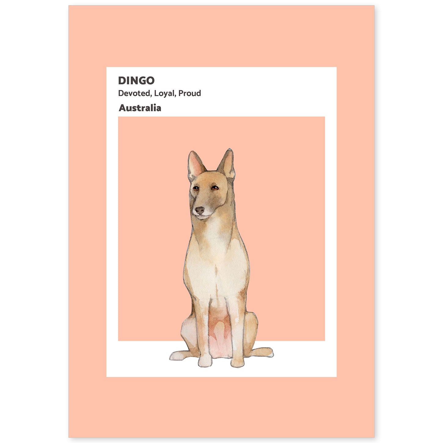 Lámina Dingo. Pósters con ilustraciones de razas de perro en tonos cálidos y pastel.-Artwork-Nacnic-A4-Sin marco-Nacnic Estudio SL