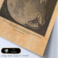 Lámina Flor cósmica. Pósters con ilustraciones de mujeres místicas y espiritualidad en estilo vintage.-Artwork-Nacnic-Nacnic Estudio SL
