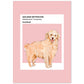 Lámina Golden Retriever. Pósters con ilustraciones de razas de perro en tonos cálidos y pastel.-Artwork-Nacnic-A4-Sin marco-Nacnic Estudio SL