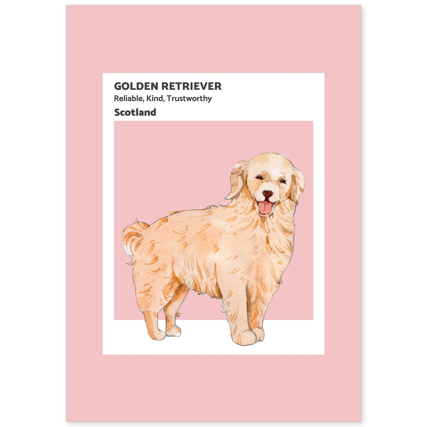 Lámina Golden Retriever. Pósters con ilustraciones de razas de perro en tonos cálidos y pastel.-Artwork-Nacnic-A4-Sin marco-Nacnic Estudio SL