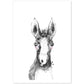 Lámina infantil Caballo bebe en blanco y negro Poster infantil-Artwork-Nacnic-A4-Sin marco-Nacnic Estudio SL