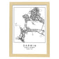 Lámina mapa de la ciudad Darwin estilo nordico en blanco y negro.-Artwork-Nacnic-A3-Marco Madera clara-Nacnic Estudio SL