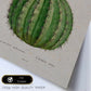 Lámina Naturaleza - 003. Pósters con ilustraciones en acuarela de Pierre-Joseph Redouté.-Artwork-Nacnic-Nacnic Estudio SL