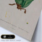 Lámina Naturaleza - 004. Pósters con ilustraciones en acuarela de Pierre-Joseph Redouté.-Artwork-Nacnic-Nacnic Estudio SL