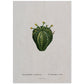 Lámina Naturaleza - 017. Pósters con ilustraciones en acuarela de Pierre-Joseph Redouté.-Artwork-Nacnic-A4-Sin marco-Nacnic Estudio SL