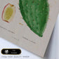 Lámina Naturaleza - 024. Pósters con ilustraciones en acuarela de Pierre-Joseph Redouté.-Artwork-Nacnic-Nacnic Estudio SL
