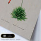 Lámina Naturaleza - 113. Pósters con ilustraciones en acuarela de Pierre-Joseph Redouté.-Artwork-Nacnic-Nacnic Estudio SL