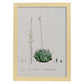 Lámina Naturaleza - 144. Pósters con ilustraciones en acuarela de Pierre-Joseph Redouté.-Artwork-Nacnic-A3-Marco Madera clara-Nacnic Estudio SL