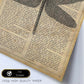 Lámina para enmarcar Libélula. Lámina con definición de Diccionario Libertad Poster Vintage. Laminas para enmarcar .-Artwork-Nacnic-Nacnic Estudio SL