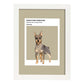 Lámina Pinscher miniatura. Pósters con ilustraciones de razas de perro en tonos cálidos y pastel.-Artwork-Nacnic-A4-Marco Blanco-Nacnic Estudio SL