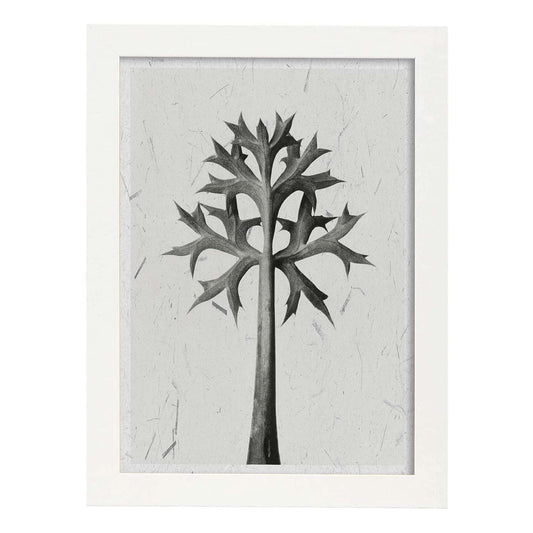 Lámina Planta blanco y negro 03. Pósters con ilustraciones de flores y plantas en tonos grises.-Artwork-Nacnic-A4-Marco Blanco-Nacnic Estudio SL
