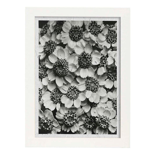 Lámina Planta blanco y negro 07. Pósters con ilustraciones de flores y plantas en tonos grises.-Artwork-Nacnic-A4-Marco Blanco-Nacnic Estudio SL