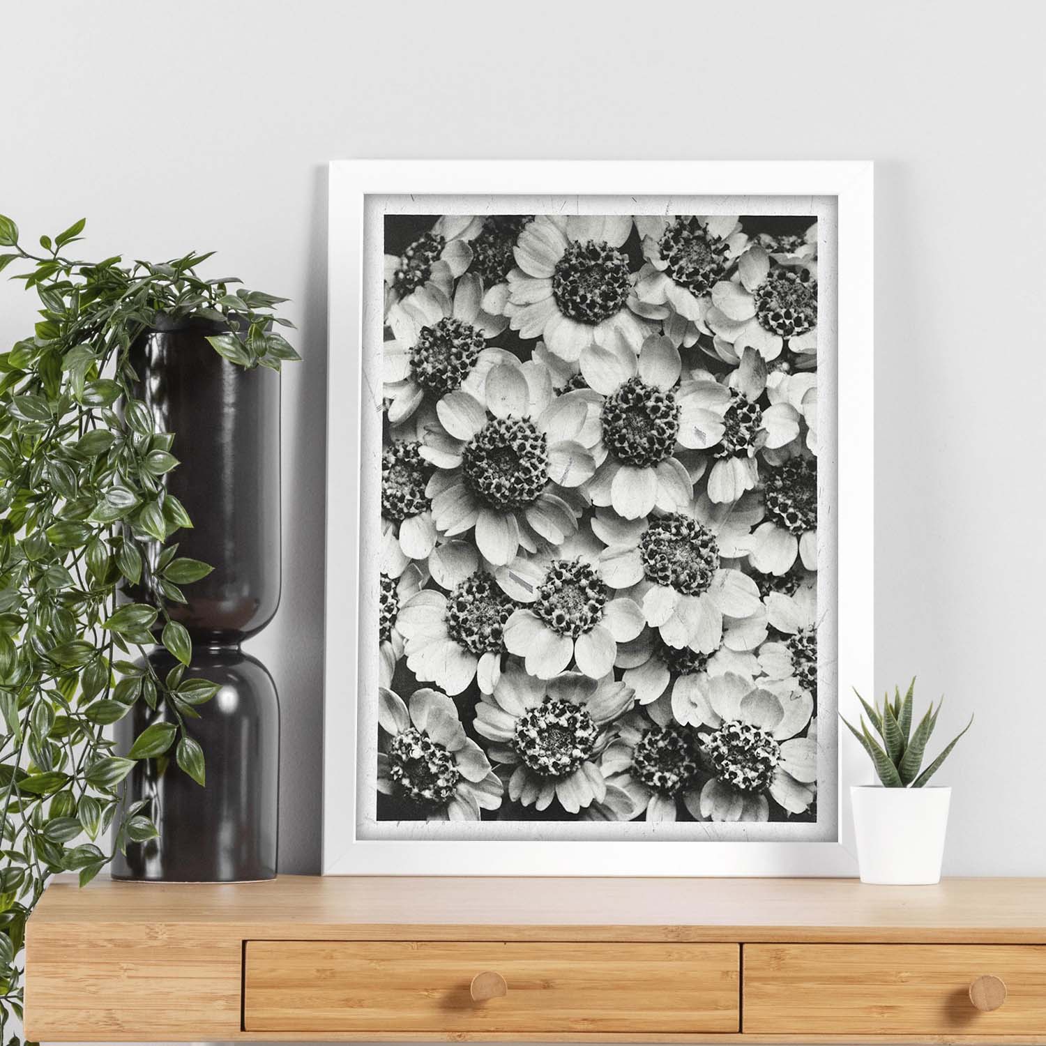 Lámina Planta blanco y negro 07. Pósters con ilustraciones de flores y plantas en tonos grises.-Artwork-Nacnic-Nacnic Estudio SL