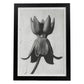 Lámina Planta blanco y negro 08. Pósters con ilustraciones de flores y plantas en tonos grises.-Artwork-Nacnic-A3-Marco Negro-Nacnic Estudio SL