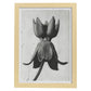Lámina Planta blanco y negro 08. Pósters con ilustraciones de flores y plantas en tonos grises.-Artwork-Nacnic-A4-Marco Madera clara-Nacnic Estudio SL