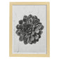 Lámina Planta blanco y negro 09. Pósters con ilustraciones de flores y plantas en tonos grises.-Artwork-Nacnic-A3-Marco Madera clara-Nacnic Estudio SL