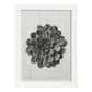 Lámina Planta blanco y negro 09. Pósters con ilustraciones de flores y plantas en tonos grises.-Artwork-Nacnic-A4-Marco Blanco-Nacnic Estudio SL