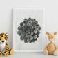 Lámina Planta blanco y negro 09. Pósters con ilustraciones de flores y plantas en tonos grises.-Artwork-Nacnic-Nacnic Estudio SL
