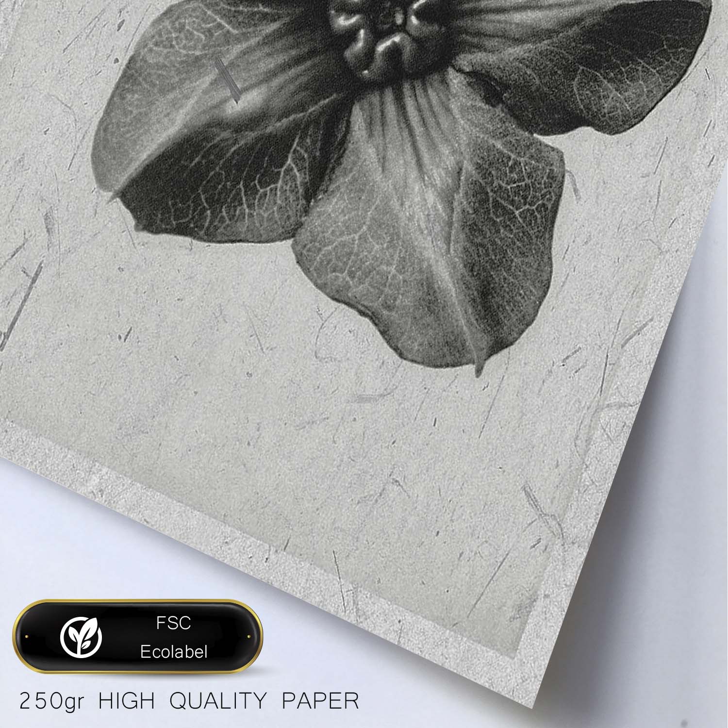 Lámina Planta blanco y negro 10. Pósters con ilustraciones de flores y plantas en tonos grises.-Artwork-Nacnic-Nacnic Estudio SL