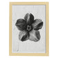 Lámina Planta blanco y negro 10. Pósters con ilustraciones de flores y plantas en tonos grises.-Artwork-Nacnic-A3-Marco Madera clara-Nacnic Estudio SL