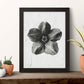 Lámina Planta blanco y negro 10. Pósters con ilustraciones de flores y plantas en tonos grises.-Artwork-Nacnic-Nacnic Estudio SL