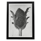 Lámina Planta blanco y negro 12. Pósters con ilustraciones de flores y plantas en tonos grises.-Artwork-Nacnic-A3-Marco Negro-Nacnic Estudio SL