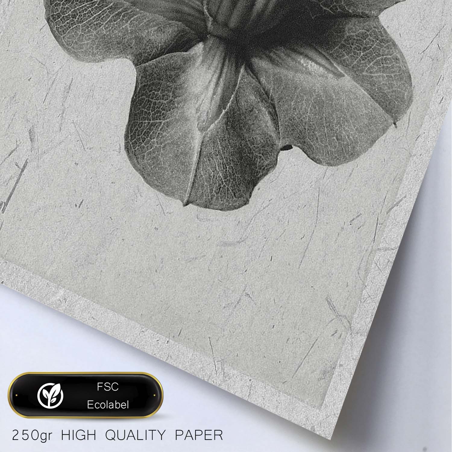 Lámina Planta blanco y negro 13. Pósters con ilustraciones de flores y plantas en tonos grises.-Artwork-Nacnic-Nacnic Estudio SL