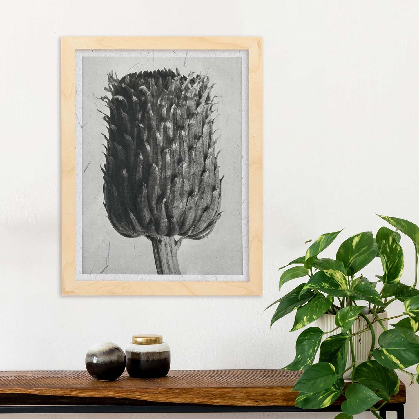 Lámina Planta blanco y negro 14. Pósters con ilustraciones de flores y plantas en tonos grises.-Artwork-Nacnic-Nacnic Estudio SL