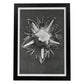Lámina Planta blanco y negro 16. Pósters con ilustraciones de flores y plantas en tonos grises.-Artwork-Nacnic-A4-Marco Negro-Nacnic Estudio SL