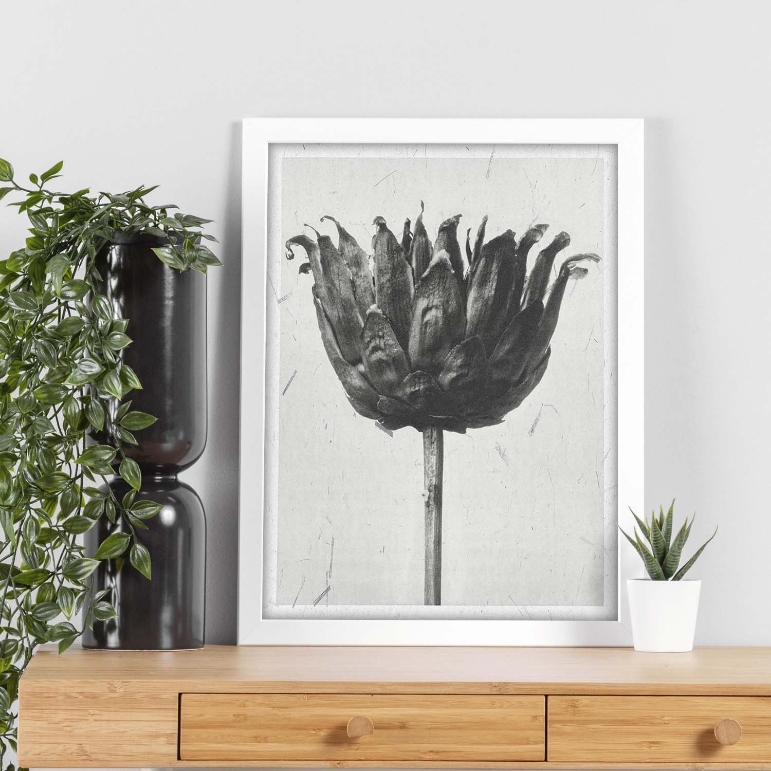 Lámina Planta blanco y negro 19. Pósters con ilustraciones de flores y plantas en tonos grises.-Artwork-Nacnic-Nacnic Estudio SL