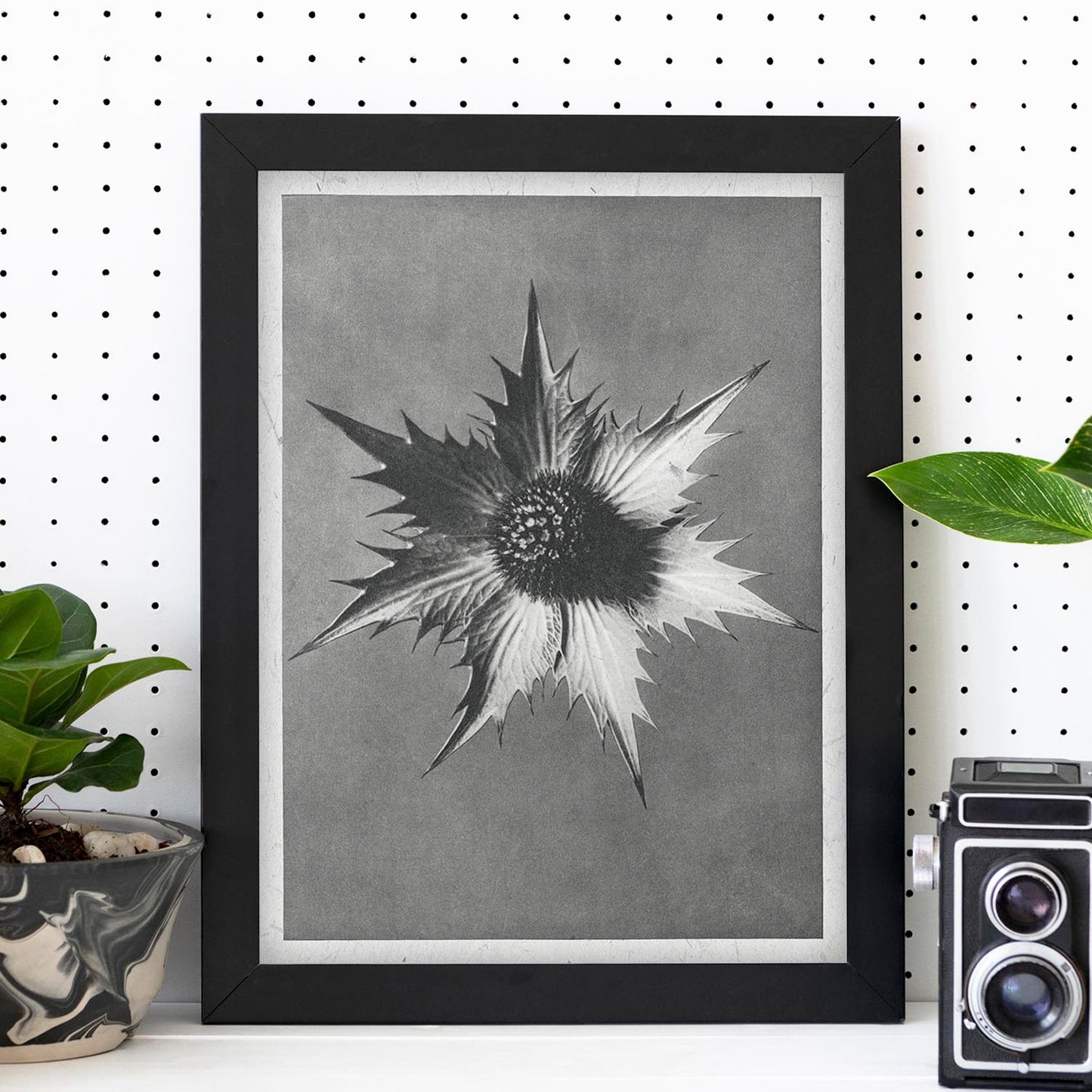 Lámina Planta blanco y negro 21. Pósters con ilustraciones de flores y plantas en tonos grises.-Artwork-Nacnic-Nacnic Estudio SL