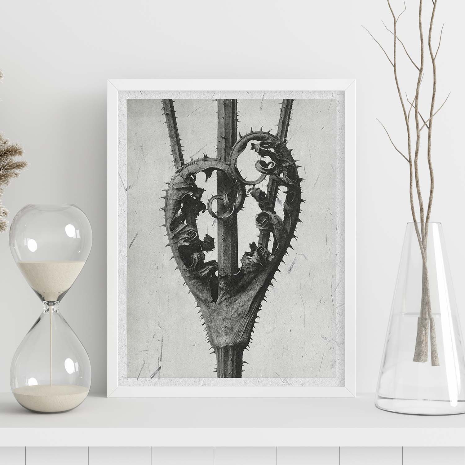 Lámina Planta blanco y negro 23. Pósters con ilustraciones de flores y plantas en tonos grises.-Artwork-Nacnic-Nacnic Estudio SL