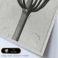 Lámina Planta blanco y negro 24. Pósters con ilustraciones de flores y plantas en tonos grises.-Artwork-Nacnic-Nacnic Estudio SL
