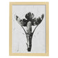 Lámina Planta blanco y negro 25. Pósters con ilustraciones de flores y plantas en tonos grises.-Artwork-Nacnic-A4-Marco Madera clara-Nacnic Estudio SL