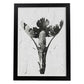 Lámina Planta blanco y negro 25. Pósters con ilustraciones de flores y plantas en tonos grises.-Artwork-Nacnic-A4-Marco Negro-Nacnic Estudio SL