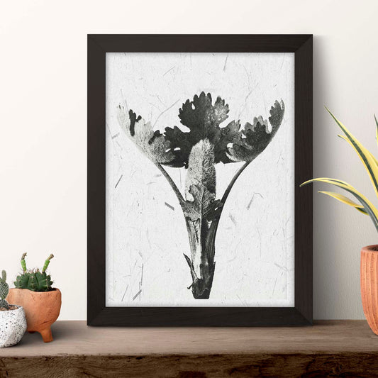 Lámina Planta blanco y negro 25. Pósters con ilustraciones de flores y plantas en tonos grises.-Artwork-Nacnic-Nacnic Estudio SL