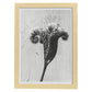 Lámina Planta blanco y negro 33. Pósters con ilustraciones de flores y plantas en tonos grises.-Artwork-Nacnic-A3-Marco Madera clara-Nacnic Estudio SL