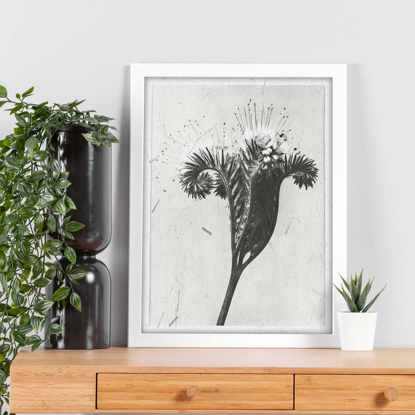 Lámina Planta blanco y negro 33. Pósters con ilustraciones de flores y plantas en tonos grises.-Artwork-Nacnic-Nacnic Estudio SL