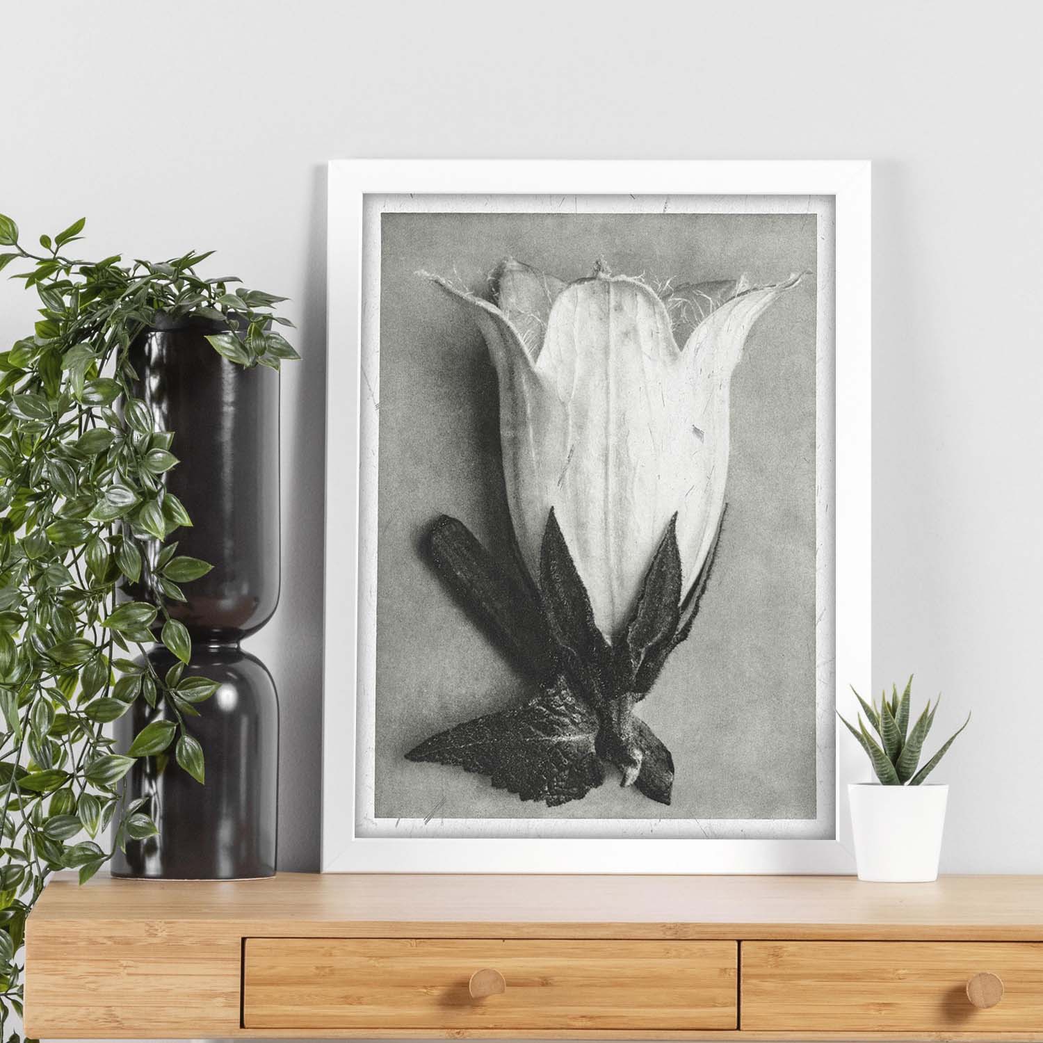 Lámina Planta blanco y negro 36. Pósters con ilustraciones de flores y plantas en tonos grises.-Artwork-Nacnic-Nacnic Estudio SL