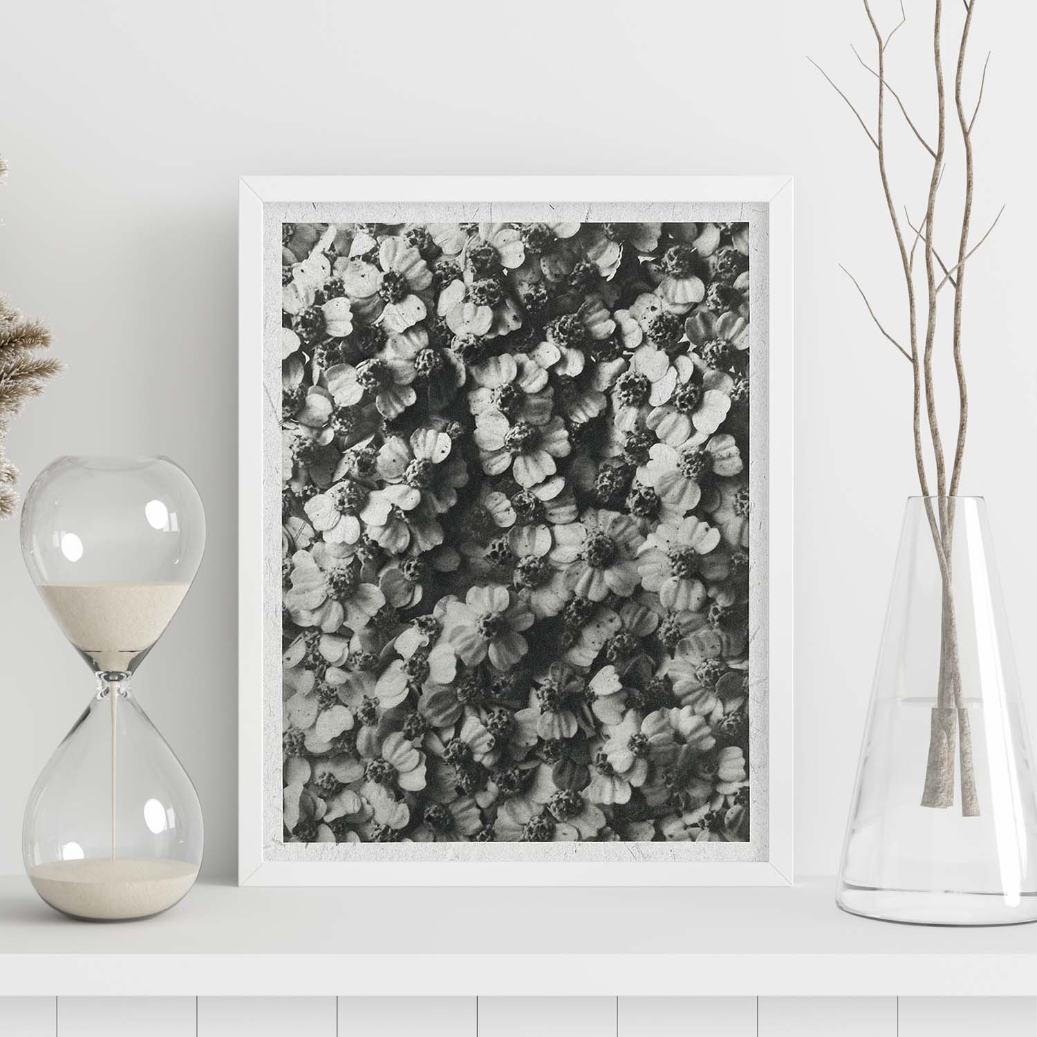 Lámina Planta blanco y negro 40. Pósters con ilustraciones de flores y plantas en tonos grises.-Artwork-Nacnic-Nacnic Estudio SL