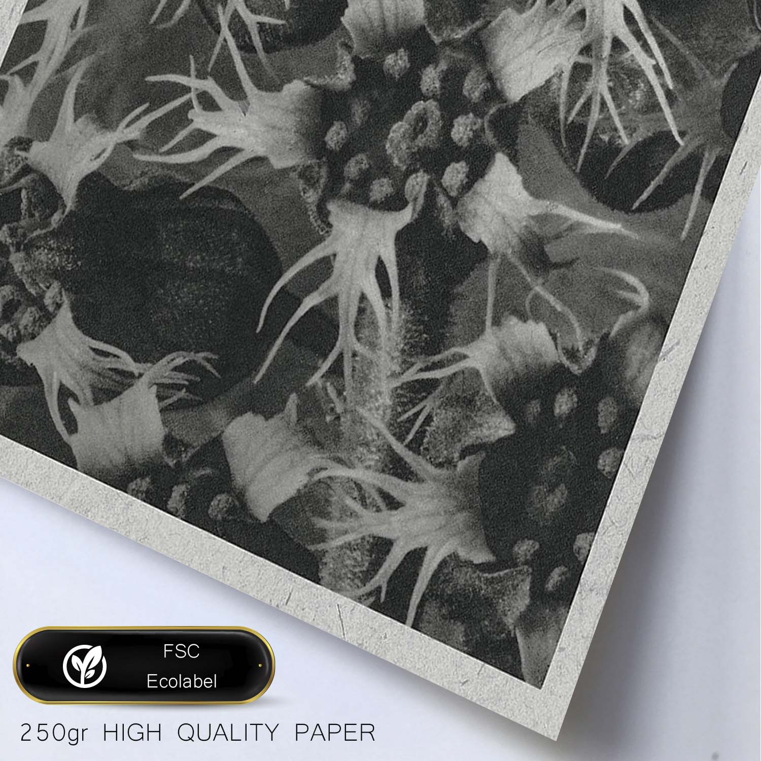 Lámina Planta blanco y negro 44. Pósters con ilustraciones de flores y plantas en tonos grises.-Artwork-Nacnic-Nacnic Estudio SL