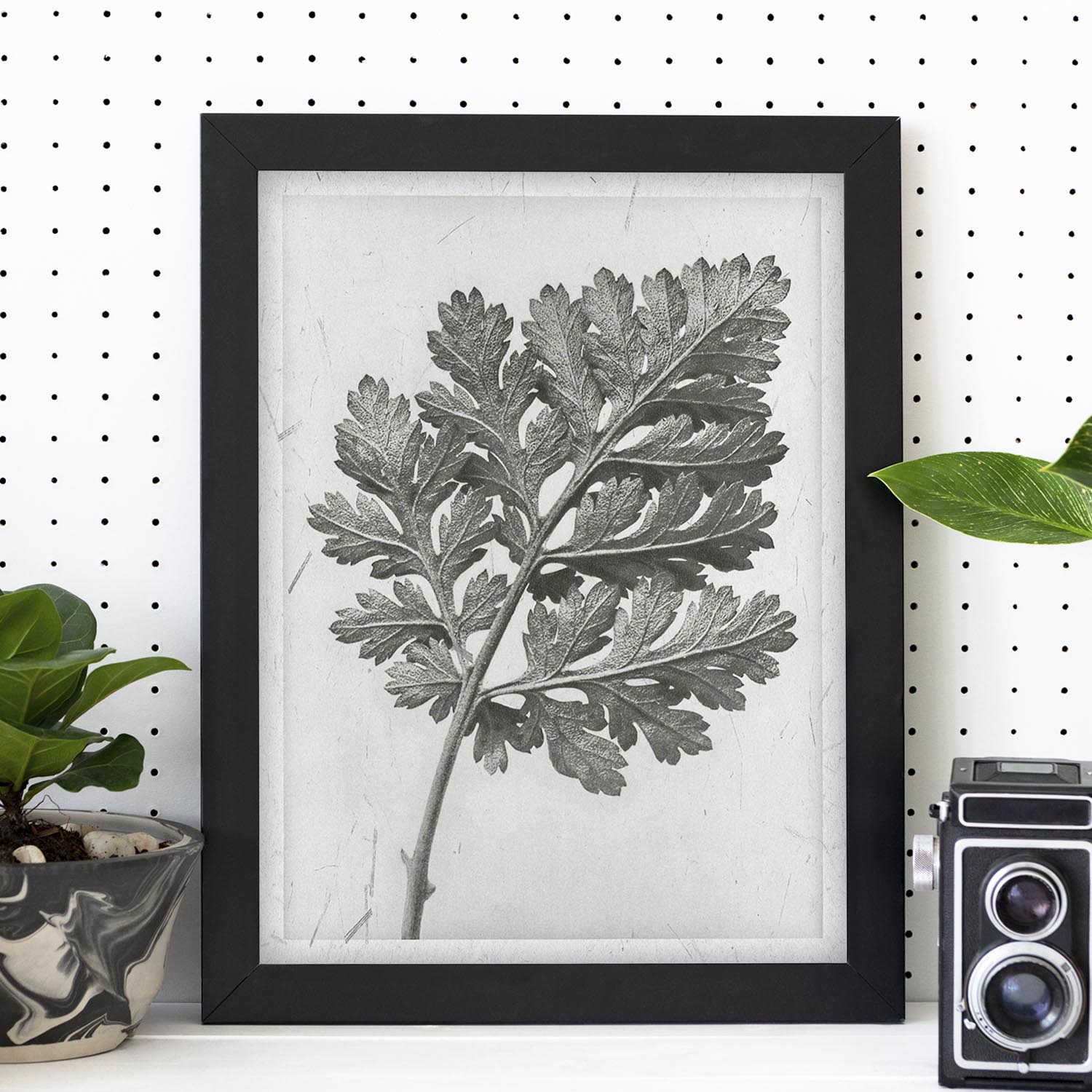 Lámina Planta blanco y negro 46. Pósters con ilustraciones de flores y plantas en tonos grises.-Artwork-Nacnic-Nacnic Estudio SL